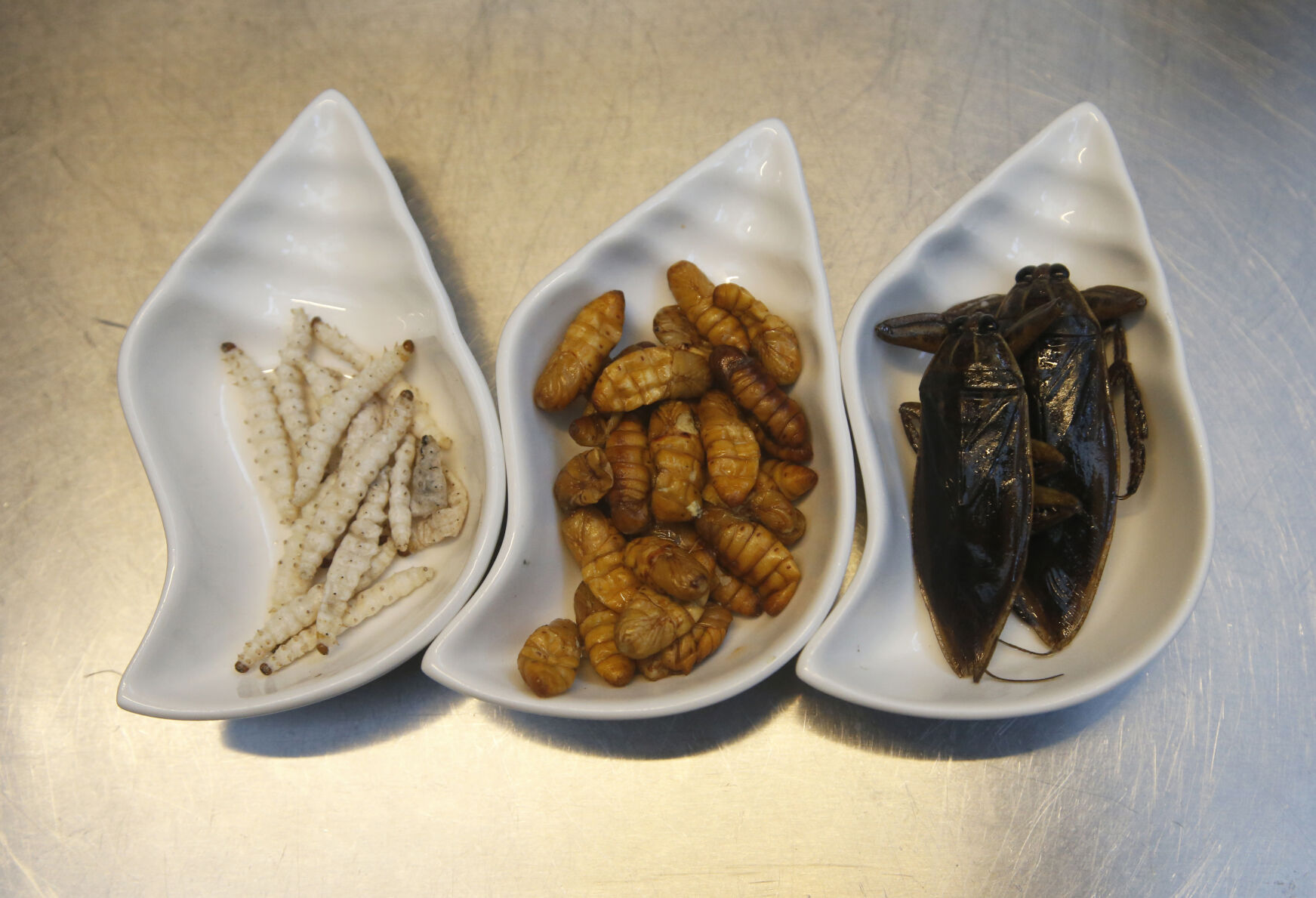 Thailand Bistro of Bugs